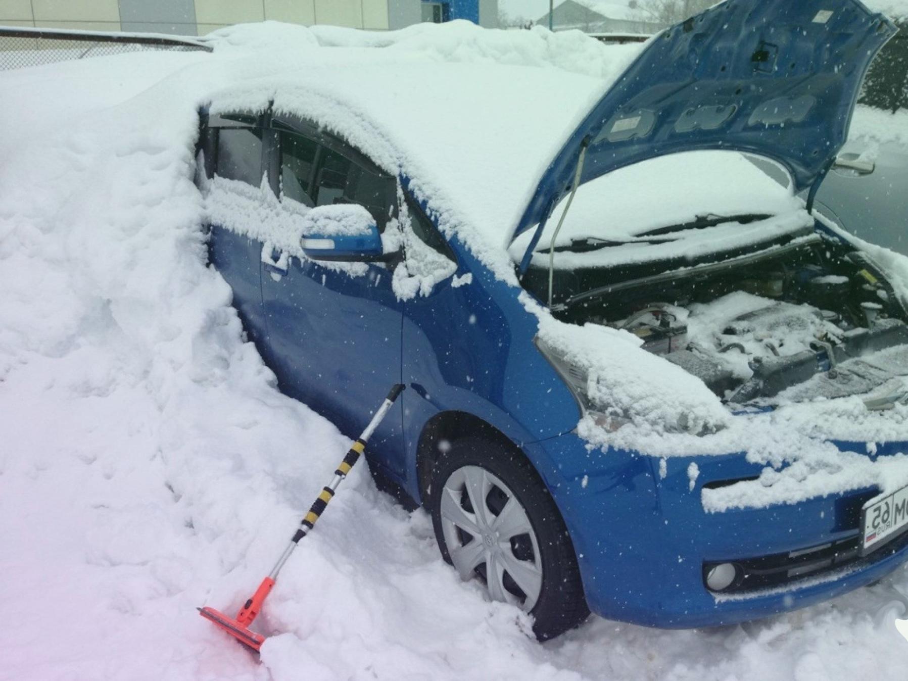 Какой вид масла лучше использовать зимой